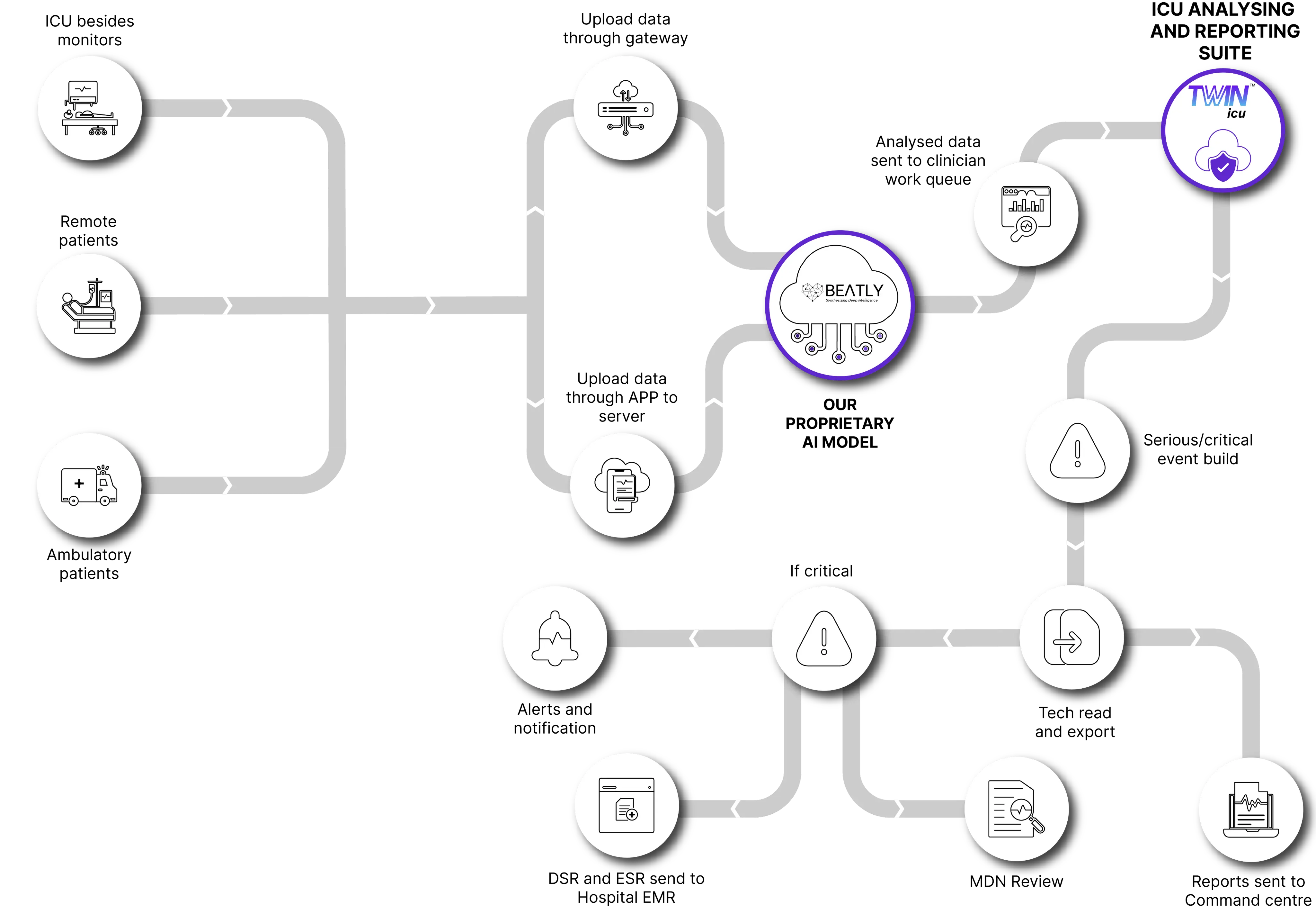 TWIN ICU Workflow